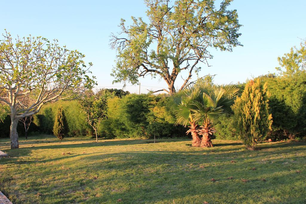Horta Nova Villa ลากอส ห้อง รูปภาพ